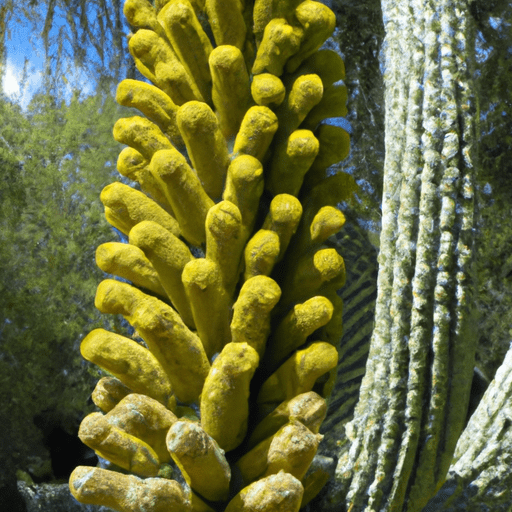 Flora und Fauna: Endemische Arten und Naturschutzgebiete in Zypern