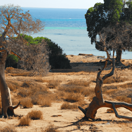 Zyperns einzigartige Natur: Nationalparks und Wanderwege